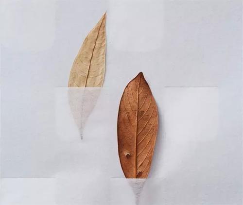 浙江成人高考入学考什么科目?(图1) 浙江成人高考入学考什么科目?